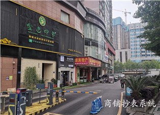 商鋪抄表系統(tǒng)實(shí)現(xiàn)商鋪的高效管理—老王說(shuō)表